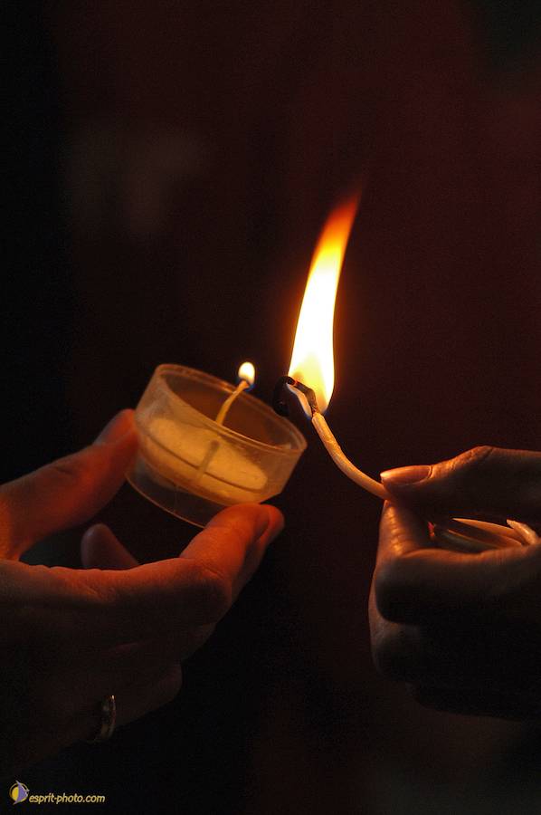 Nom de l'image : D2038593-1_(c)Norbert-JUNG — Description :